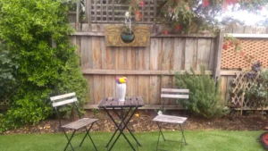 house sitting melbourne cbd